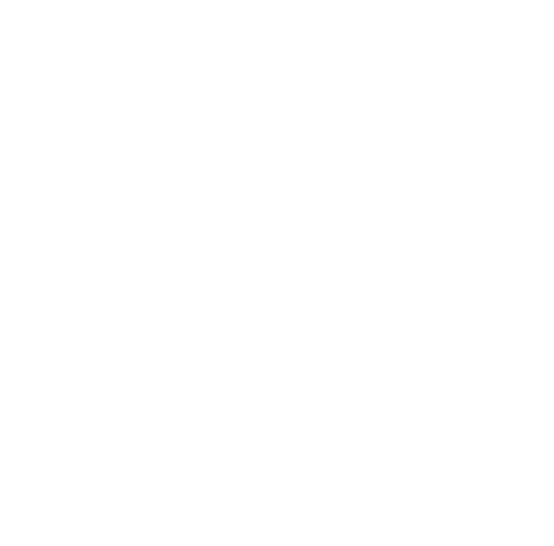 logo light